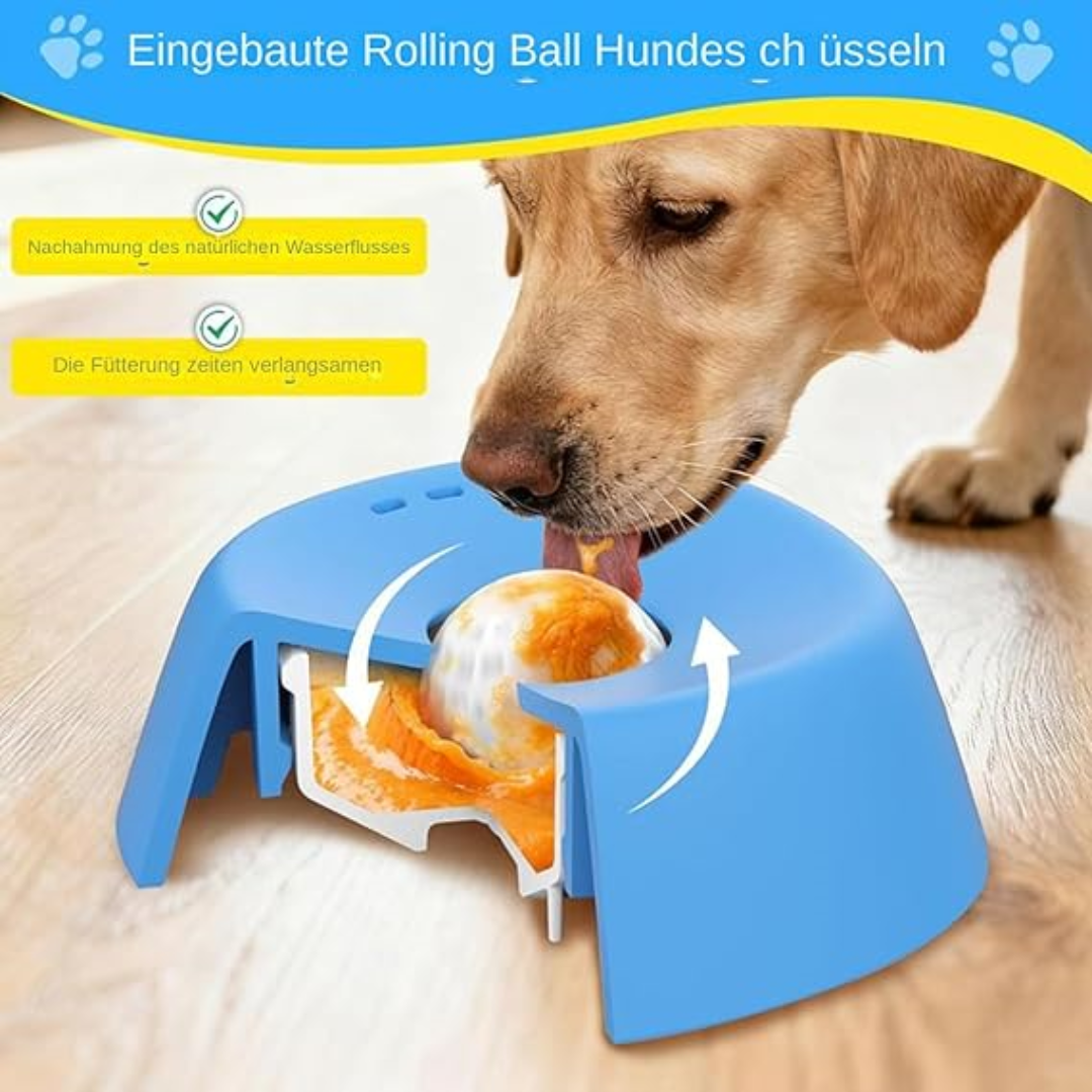 SnackSpin